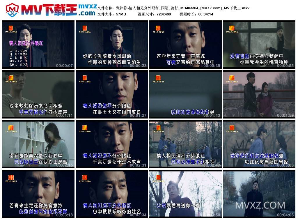 张津涤-情人相见分外眼红_国语_流行_MB403304